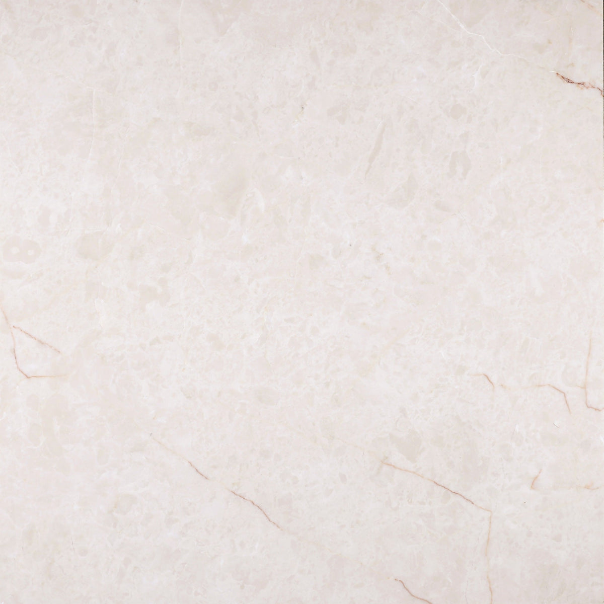 Crema Ella Honed 40 x 40 x 1.25 cm Field Tile 