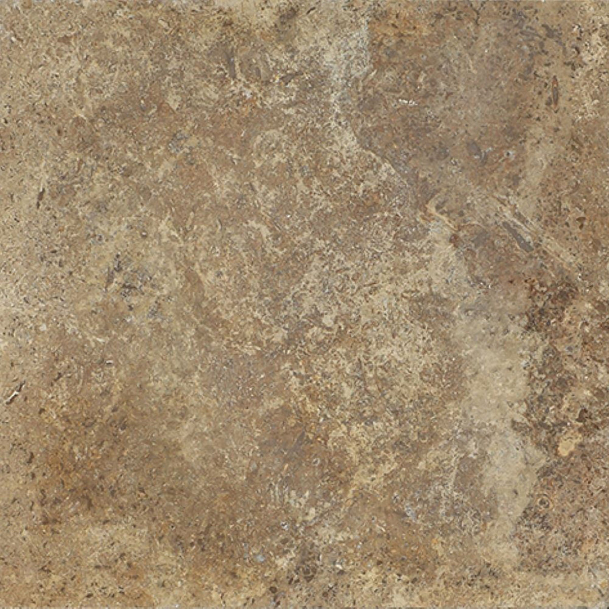 Noce Dark CC Honed 30 x 30 x 1 cm Field Tile 