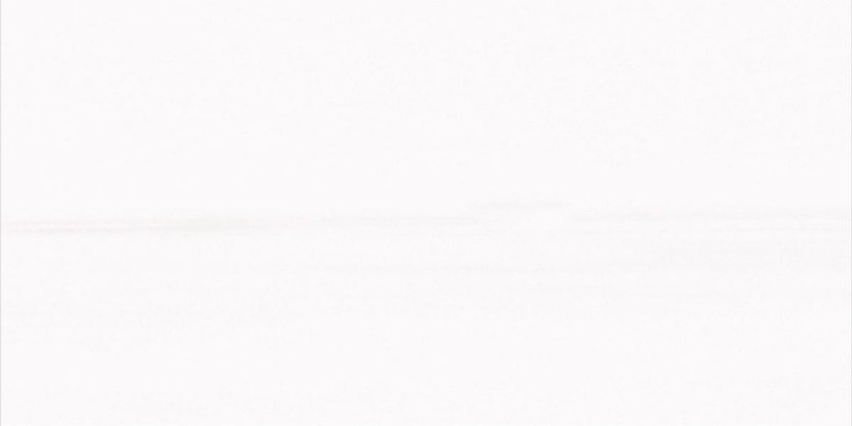 Glacier White Honed 7.5 x 15 x 1 cm Field Tile 