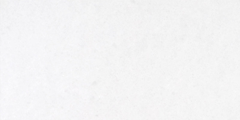 Snow White Polished 15 x 30 x 1 cm Field Tile