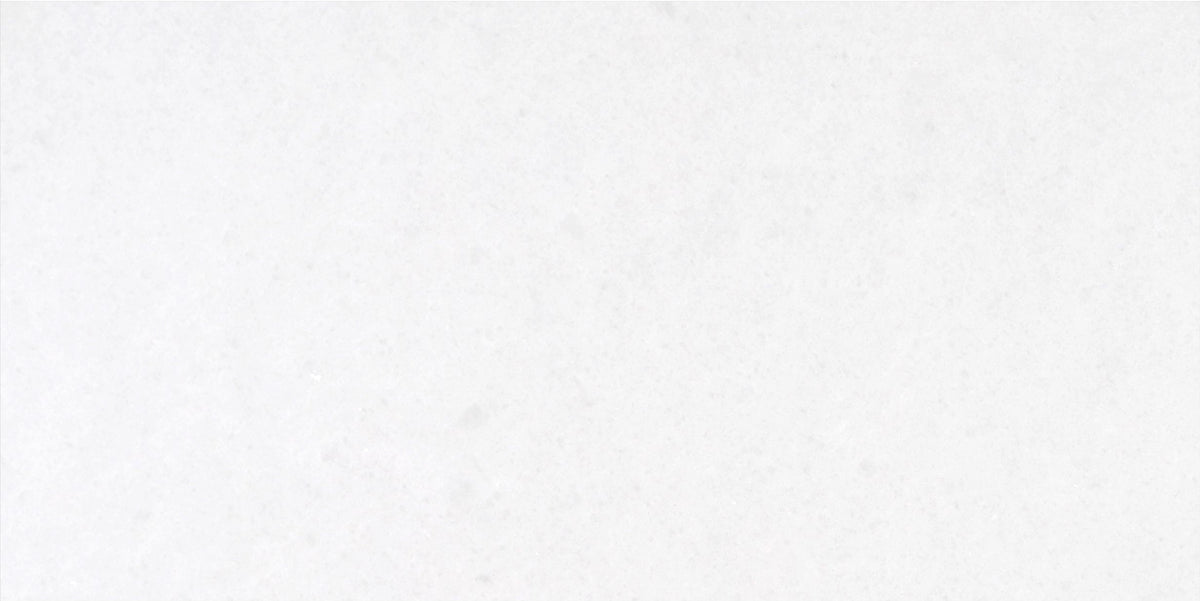 Snow White Polished 15 x 30 x 1 cm Field Tile 