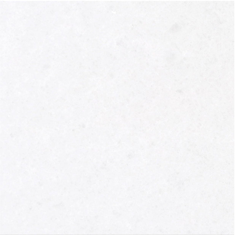 Snow White Polished 30 x 30 x 1 cm Field Tile