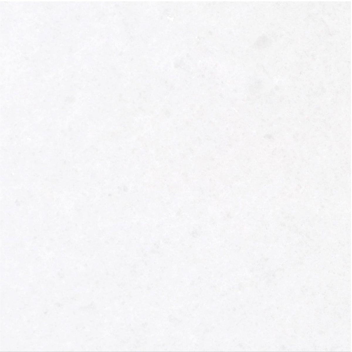 Snow White Polished 30 x 30 x 1 cm Field Tile 