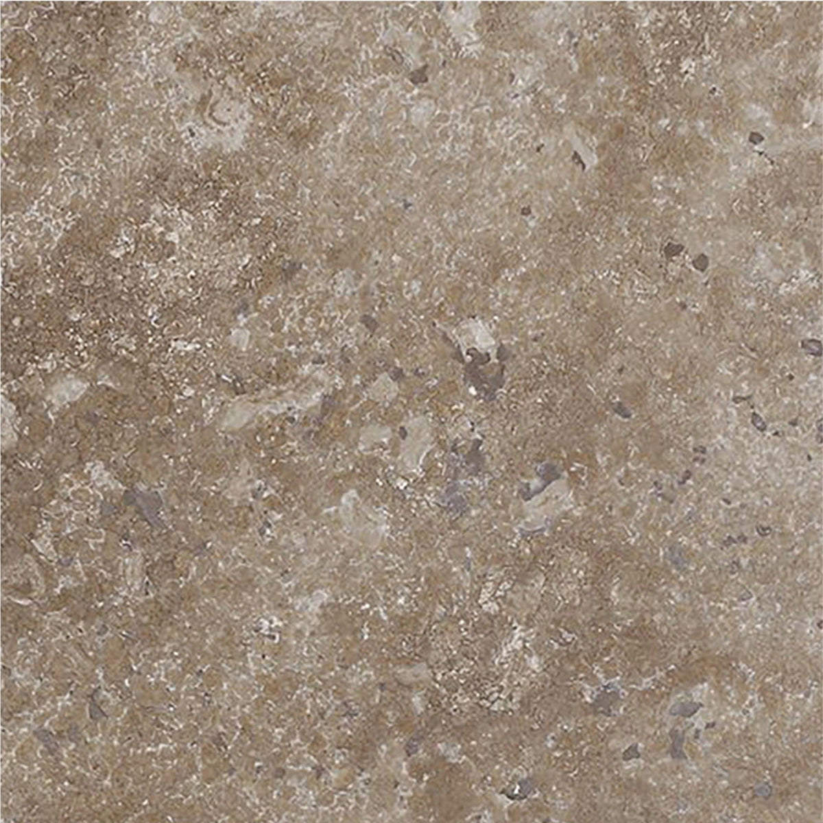 Noce Dark CC Honed 15 x 15 x 1 cm Field Tile 