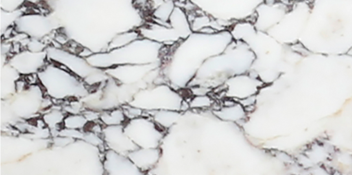 Calacatta Viola Honed 15 x 30 x 1 cm Field Tile 