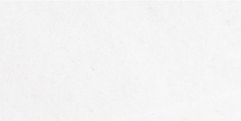 Snow White Polished 30 x 60 x 1.25 cm Field Tile