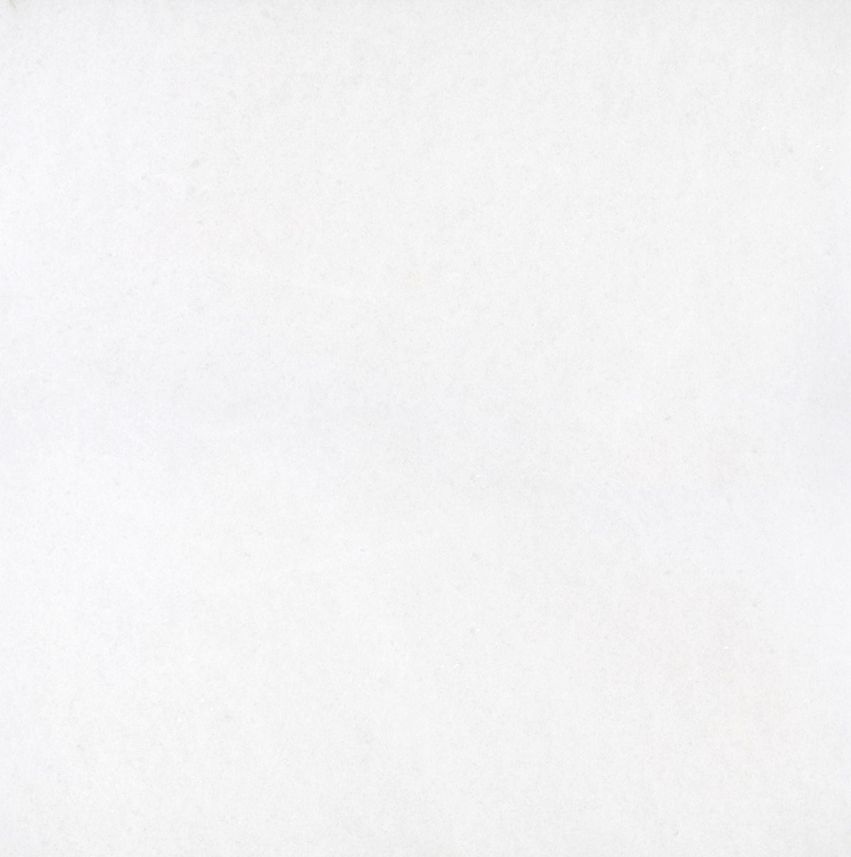 Snow White Honed 60 x 60 x 1.25 cm Field Tile 