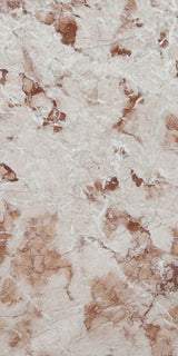 Dry Rose