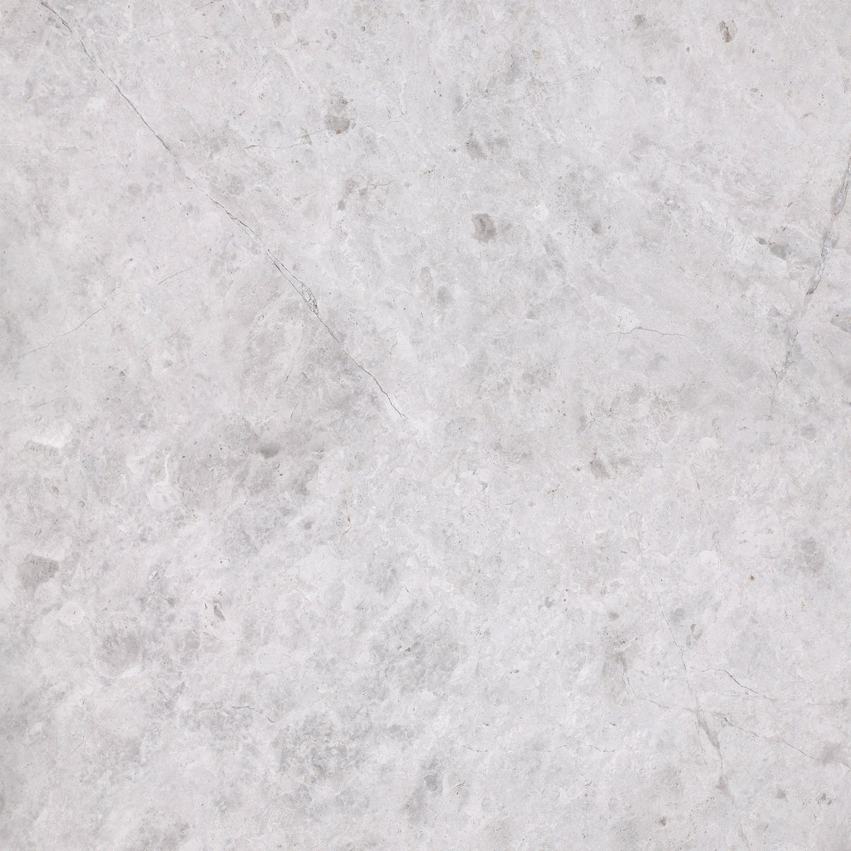 Tundra Grey Honed 60 x 60 x 1.5 cm Field Tile 