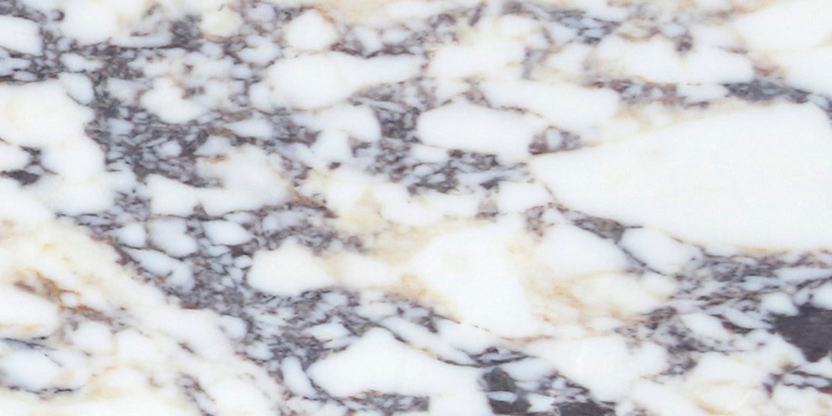 Calacatta Viola Polished 30 x 60 x 1 cm Field Tile 