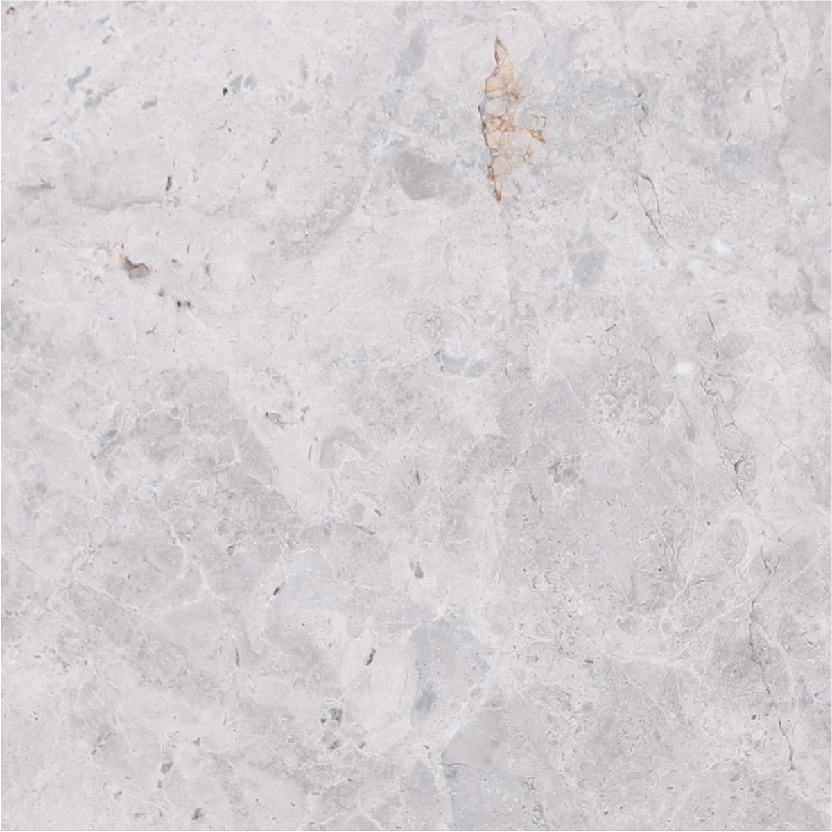 Tundra Grey Honed 30 x 30 x 1 cm Field Tile 