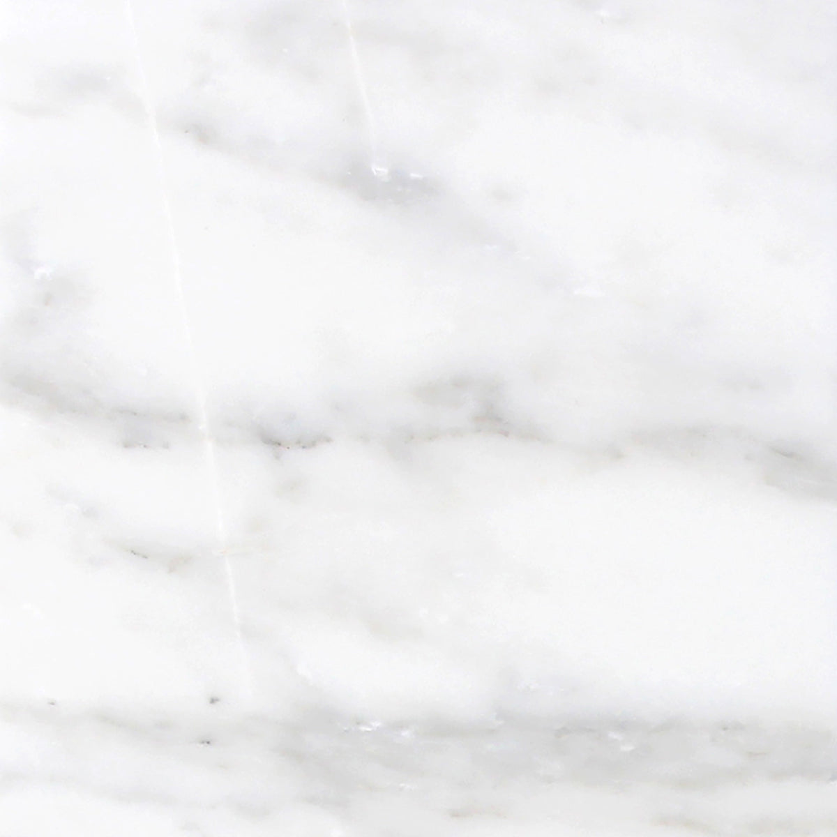 Calacatta Vida Honed 45 x 45 x 1 cm Field Tile 