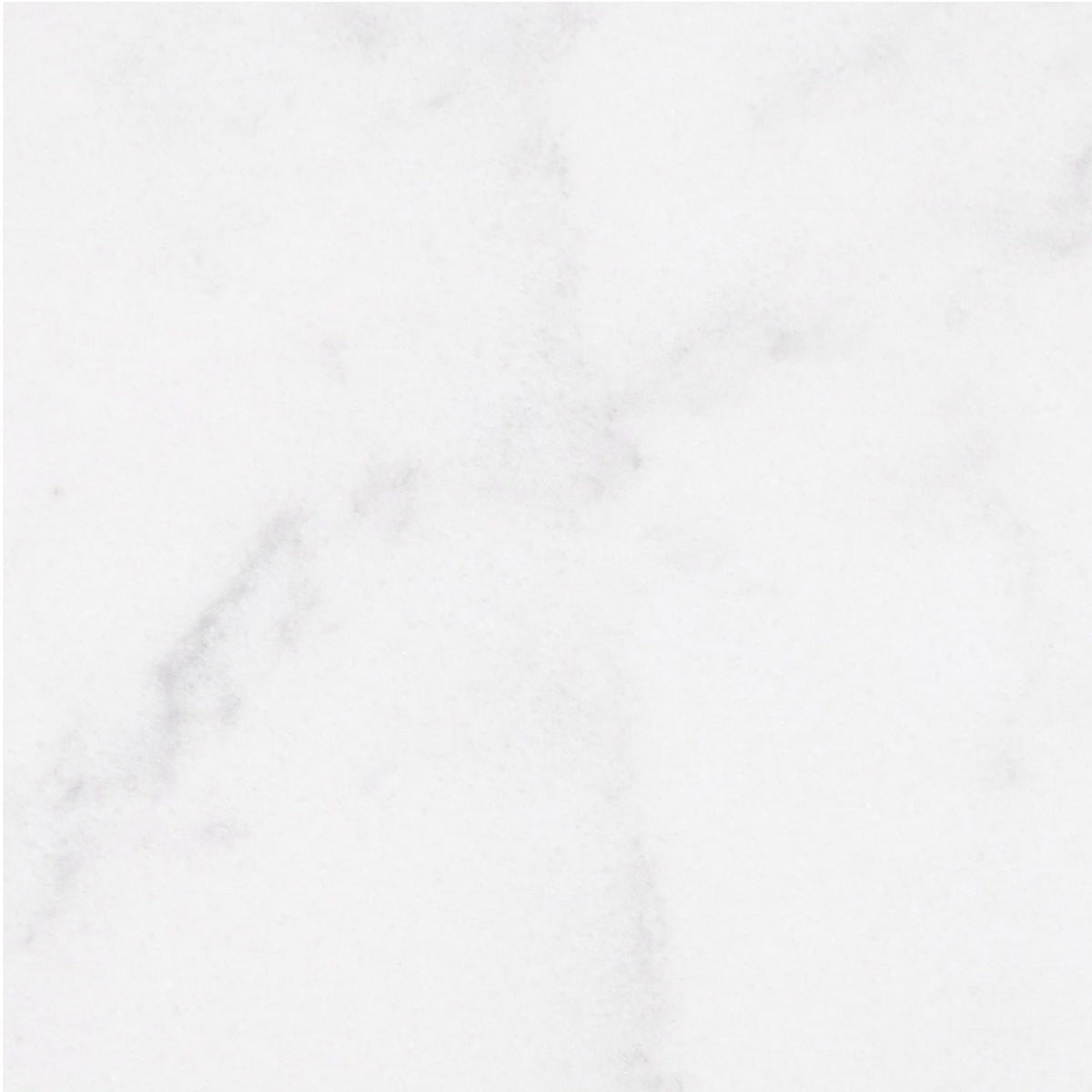 Alba Vera Honed 45 x 45 x 1.25 cm Field Tile 