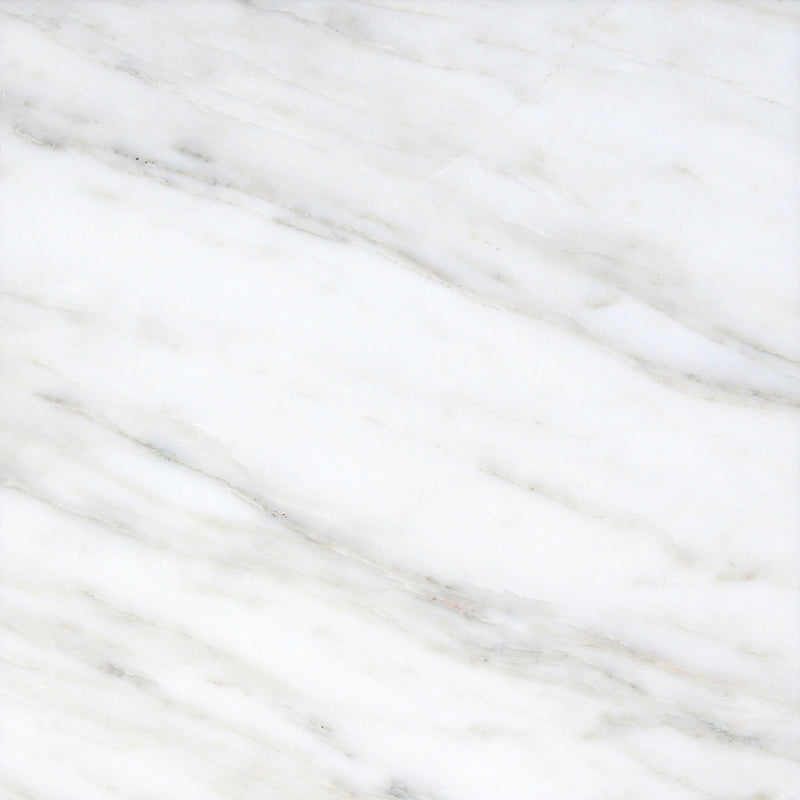 Calacatta Vida Honed 60 x 60 x 1.25 cm Field Tile