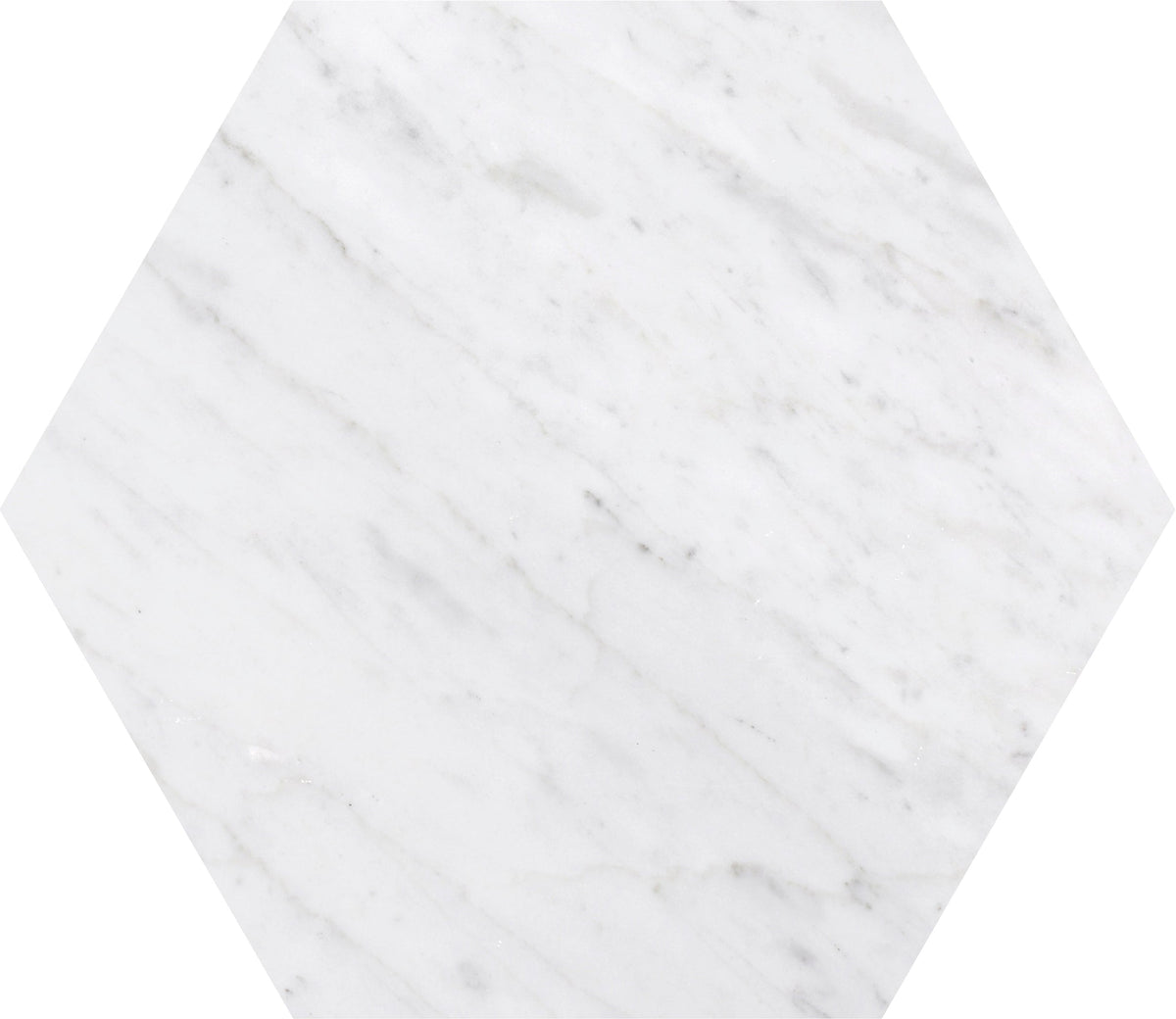 Bianco Carrara Honed Hexagon 25 x 1 cm Field Tile 