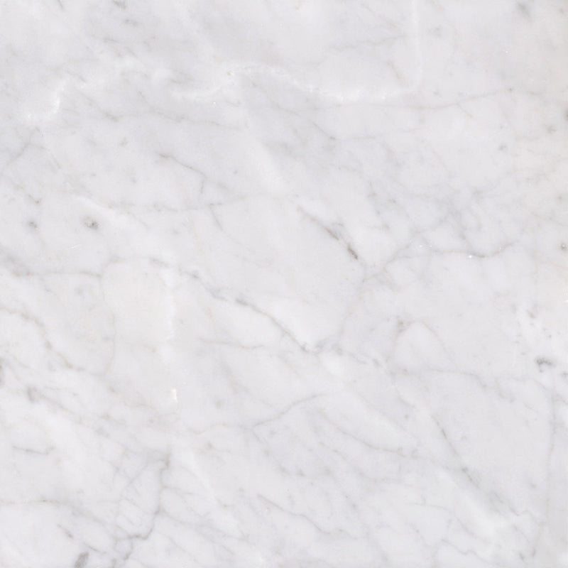 Bianco Carrara Honed 30 x 30 x 1 cm Field Tile