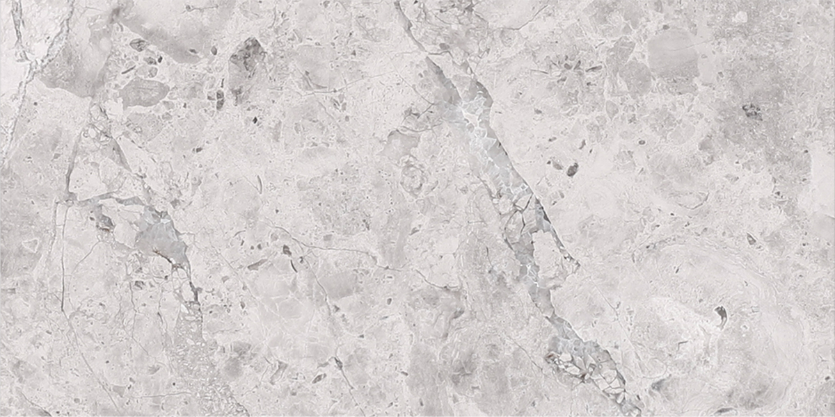 Tundra Grey Polished 7.5 x 15 x 1 cm Field Tile 