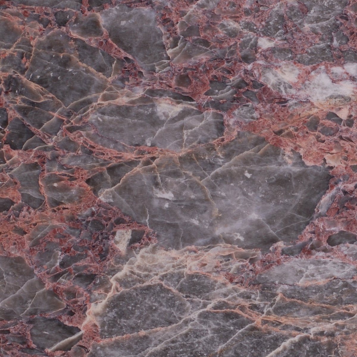 Salome Polished 30 x 30 x 1 cm Field Tile 
