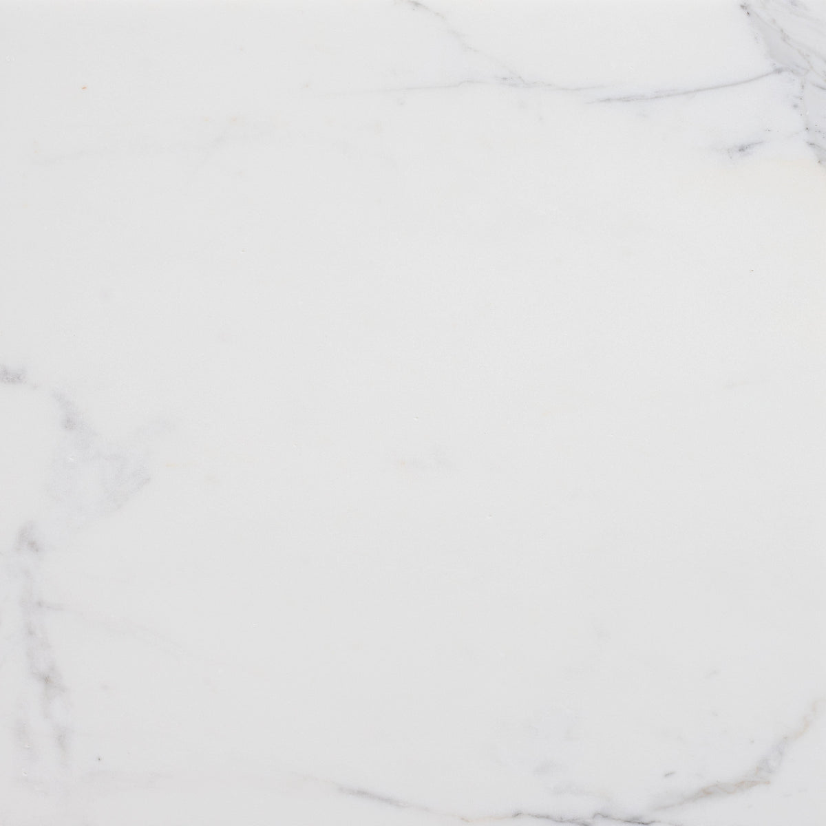 Statuario Extra Honed 45 x 45 x 1.25 cm Field Tile 