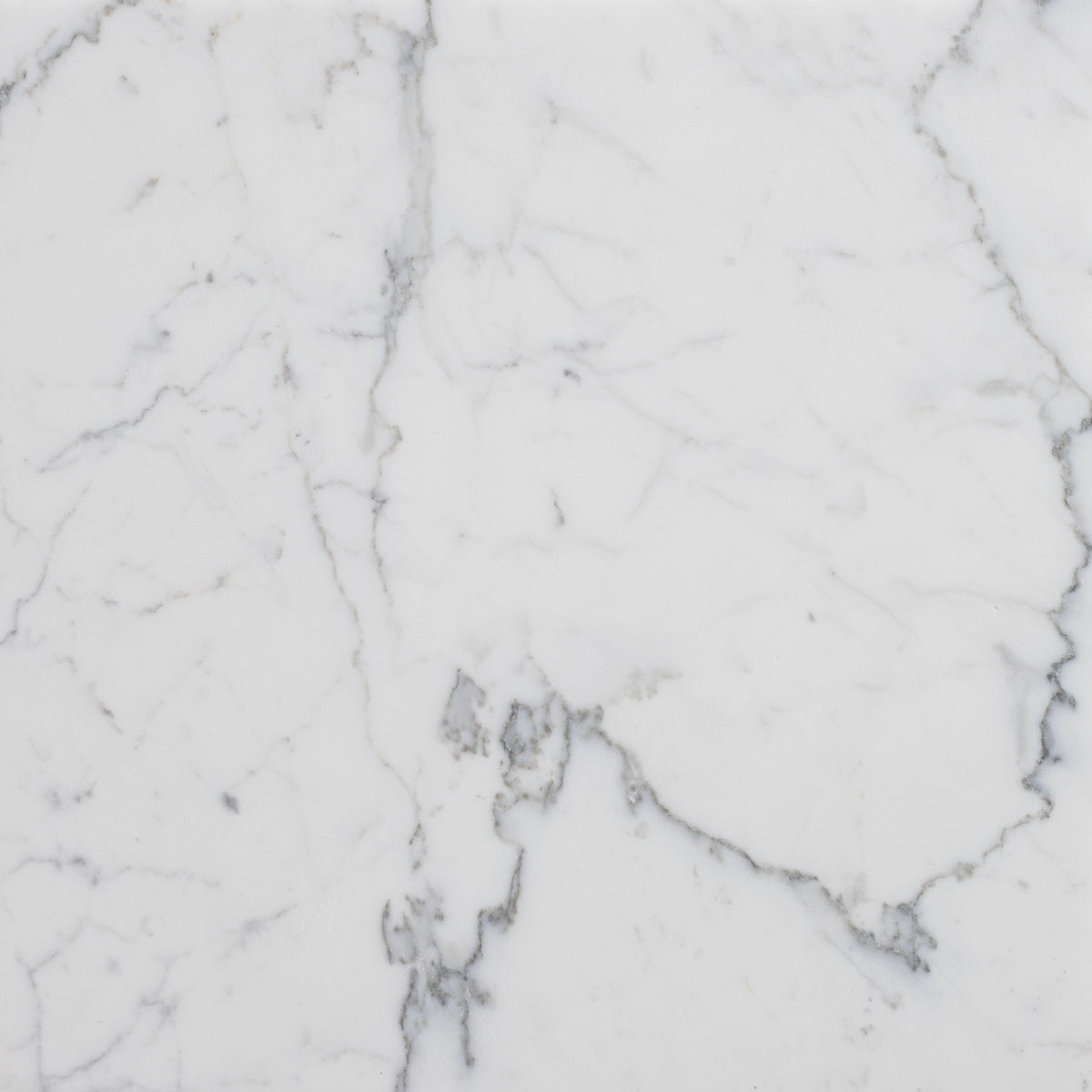Statuario Extra Honed 45 x 45 x 1.25 cm Field Tile 