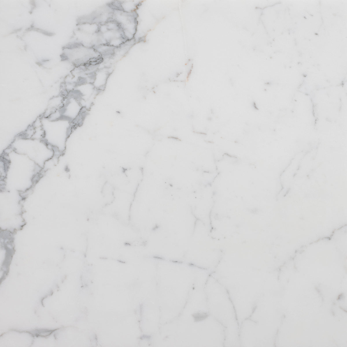 Statuario Extra Honed 45 x 45 x 1.25 cm Field Tile 