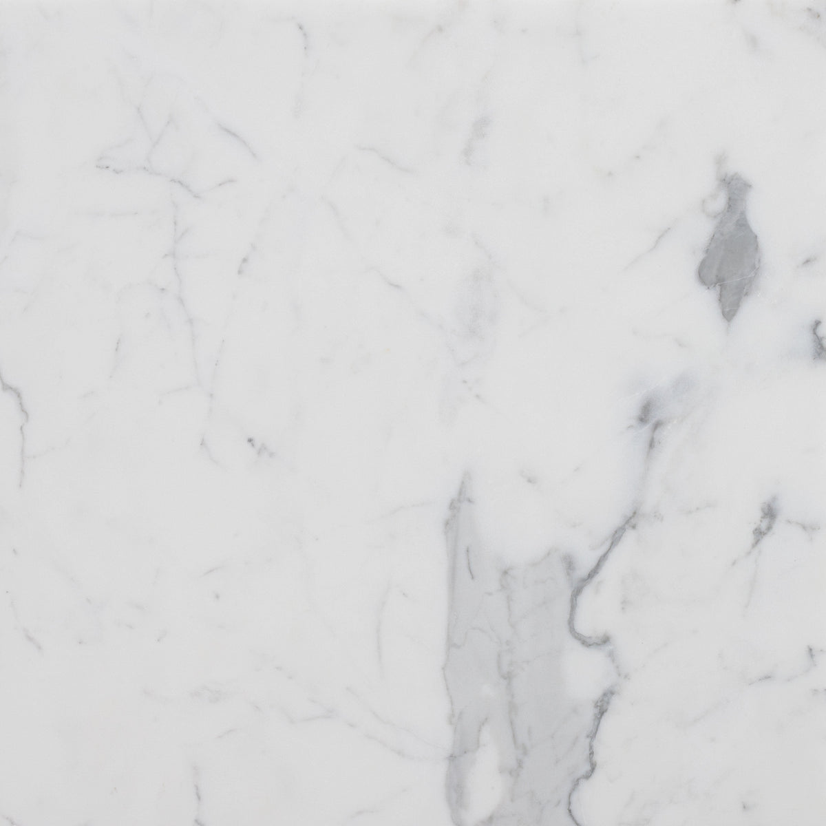 Statuario Extra Honed 45 x 45 x 1.25 cm Field Tile 