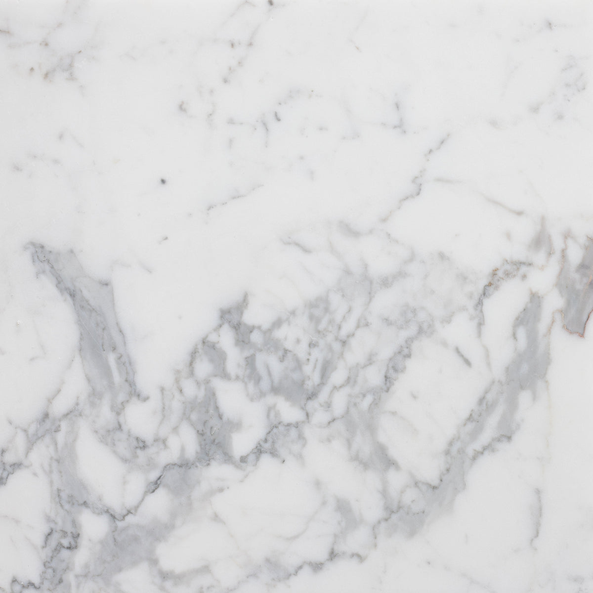 Statuario Extra Honed 45 x 45 x 1.25 cm Field Tile 