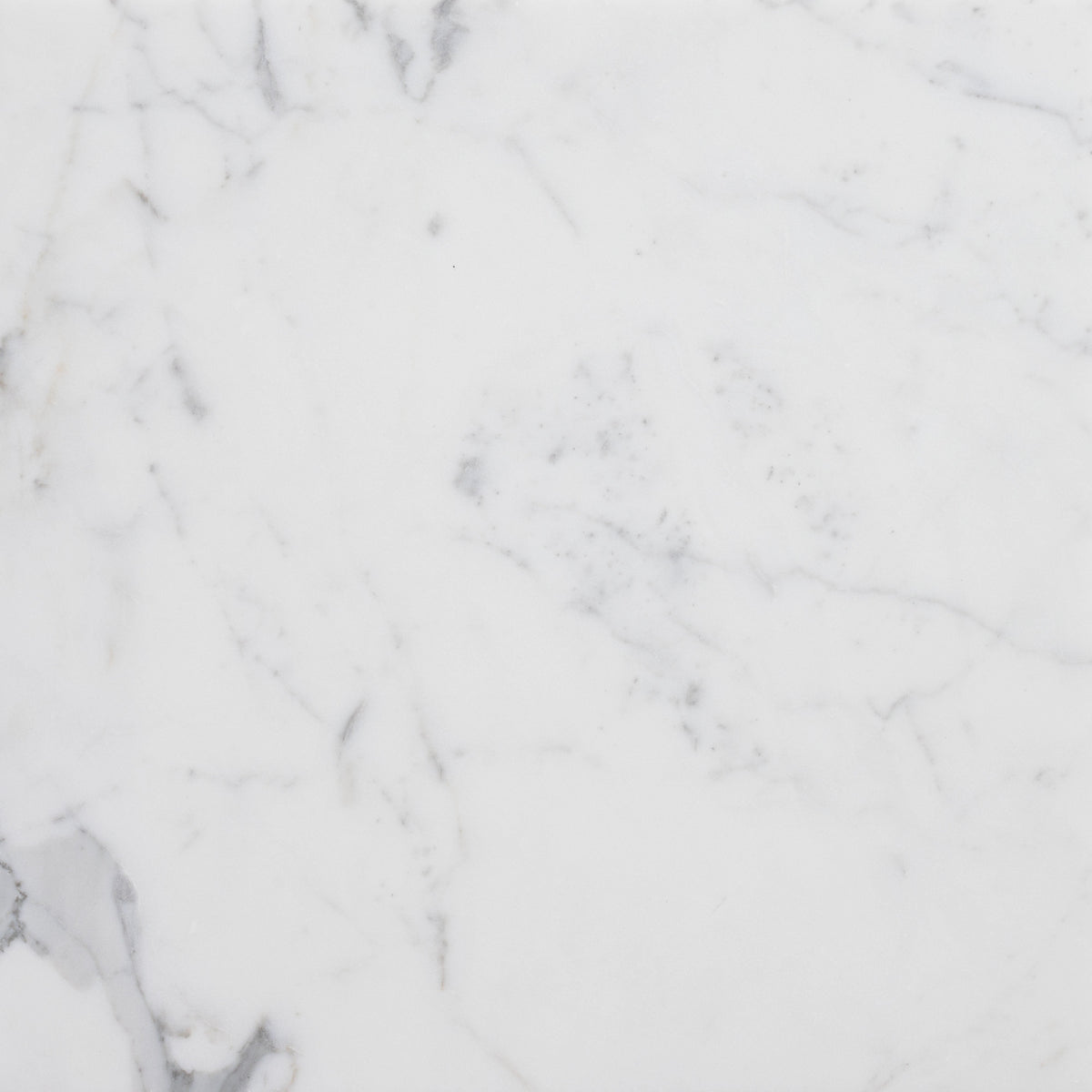 Statuario Extra Honed 45 x 45 x 1.25 cm Field Tile 