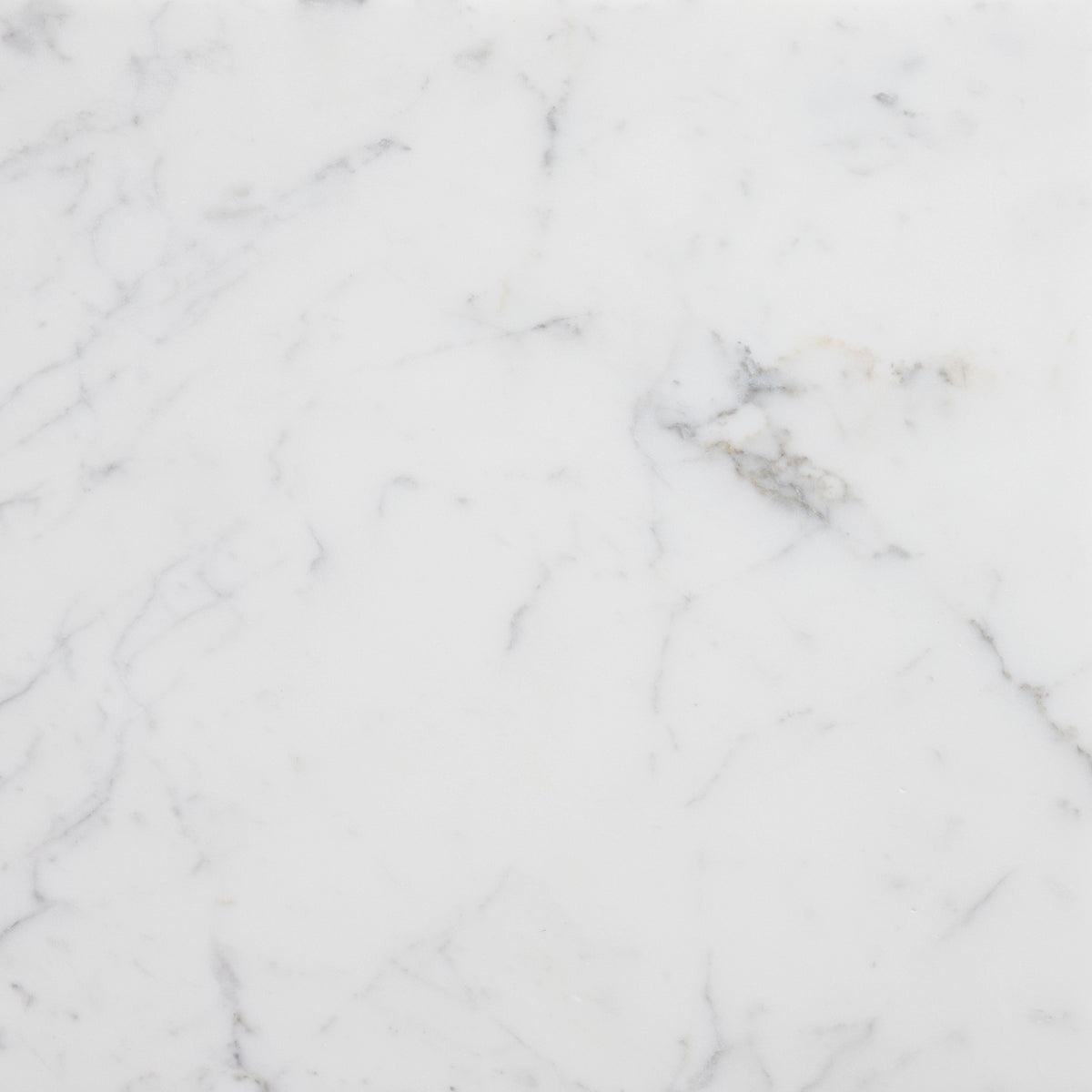 Statuario Extra Honed 45 x 45 x 1.25 cm Field Tile 