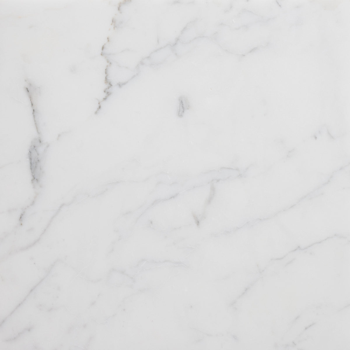 Statuario Extra Honed 45 x 45 x 1.25 cm Field Tile 