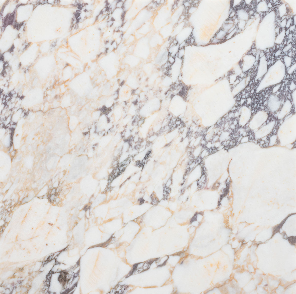 Calacatta Viola Honed 45 x 45 x 1.25 cm Field Tile 
