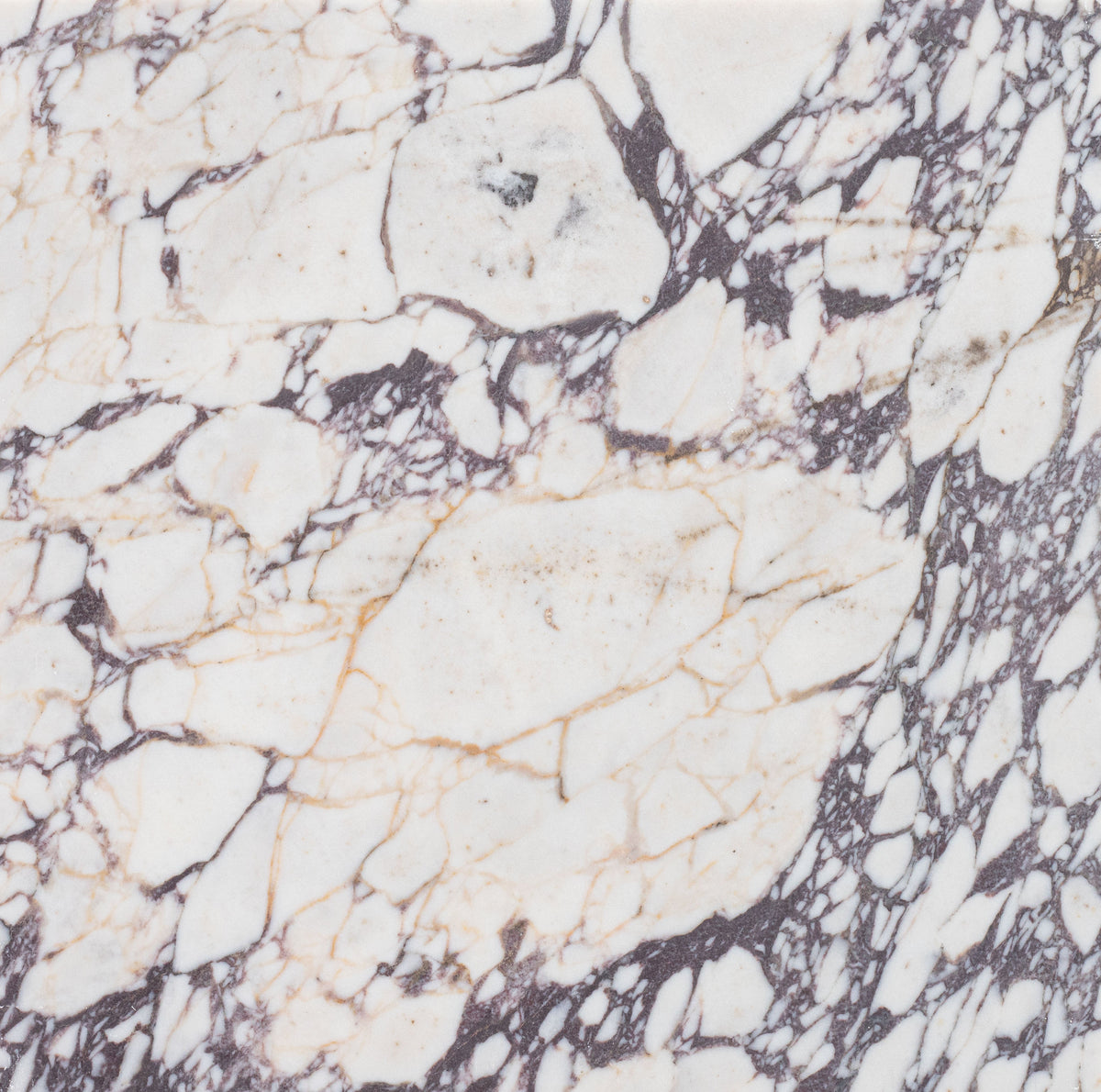 Calacatta Viola Honed 45 x 45 x 1.25 cm Field Tile 