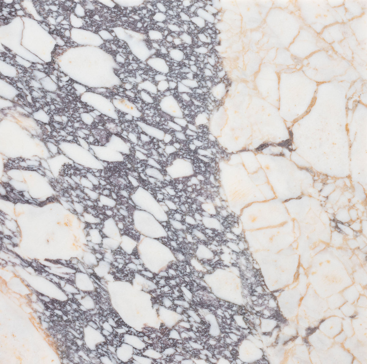 Calacatta Viola Honed 45 x 45 x 1.25 cm Field Tile 