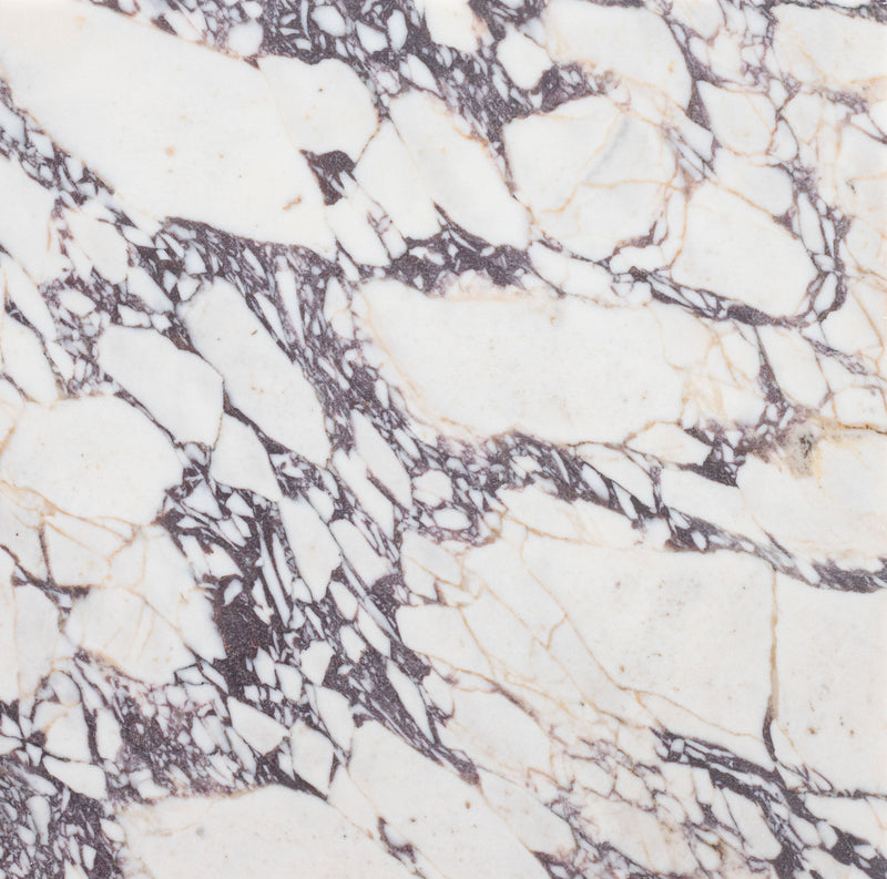 Calacatta Viola Honed 45 x 45 x 1.25 cm Field Tile