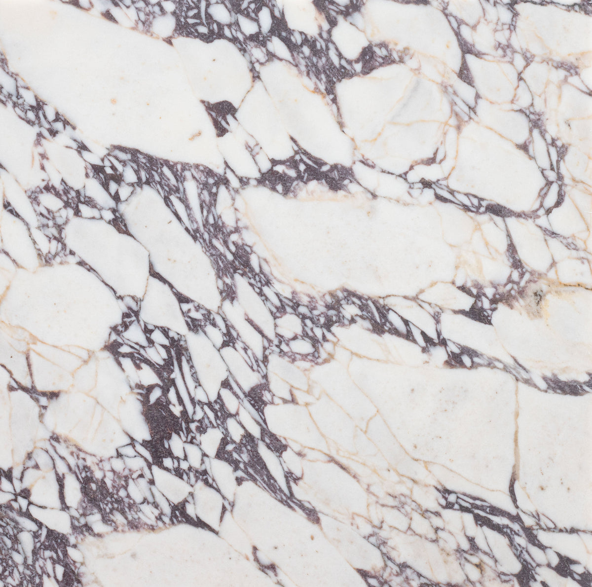 Calacatta Viola Honed 45 x 45 x 1.25 cm Field Tile 
