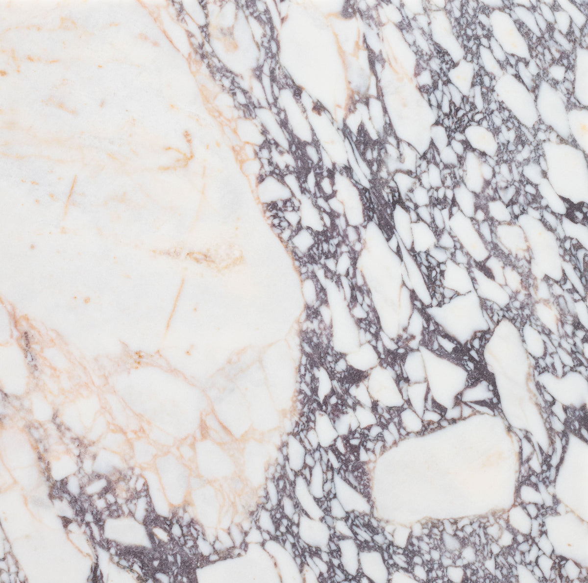 Calacatta Viola Honed 45 x 45 x 1.25 cm Field Tile 