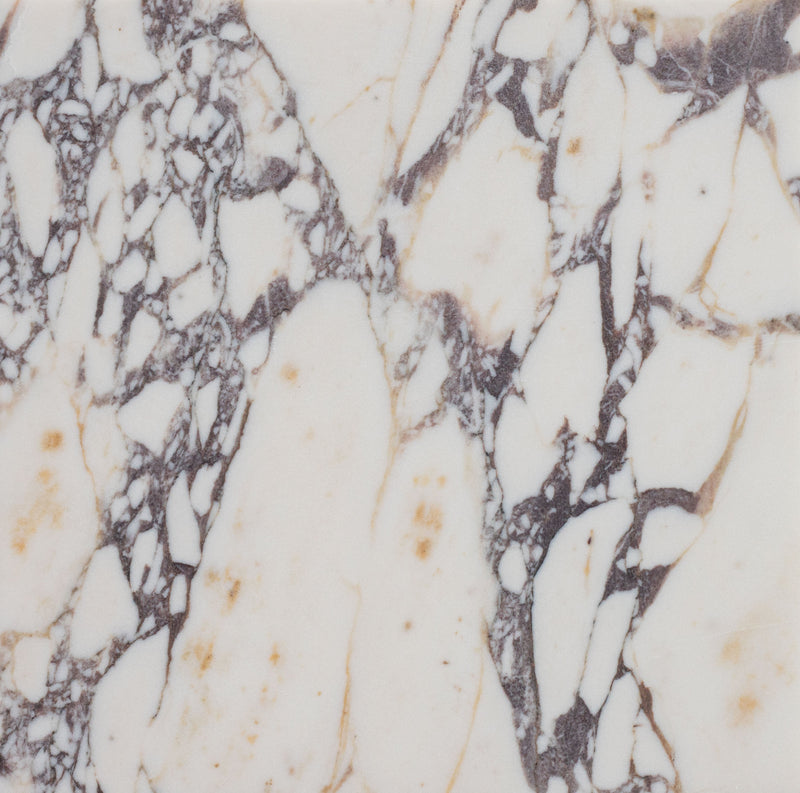 Calacatta Viola Honed 30 x 30 x 1 cm Field Tile