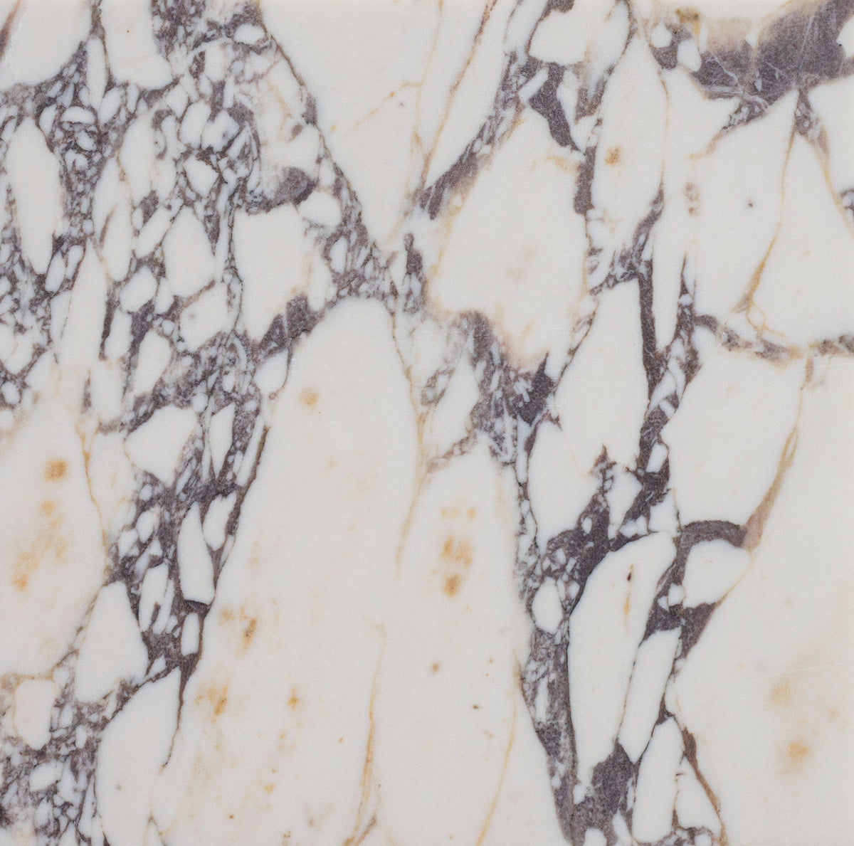 Calacatta Viola Honed 30 x 30 x 1 cm Field Tile 