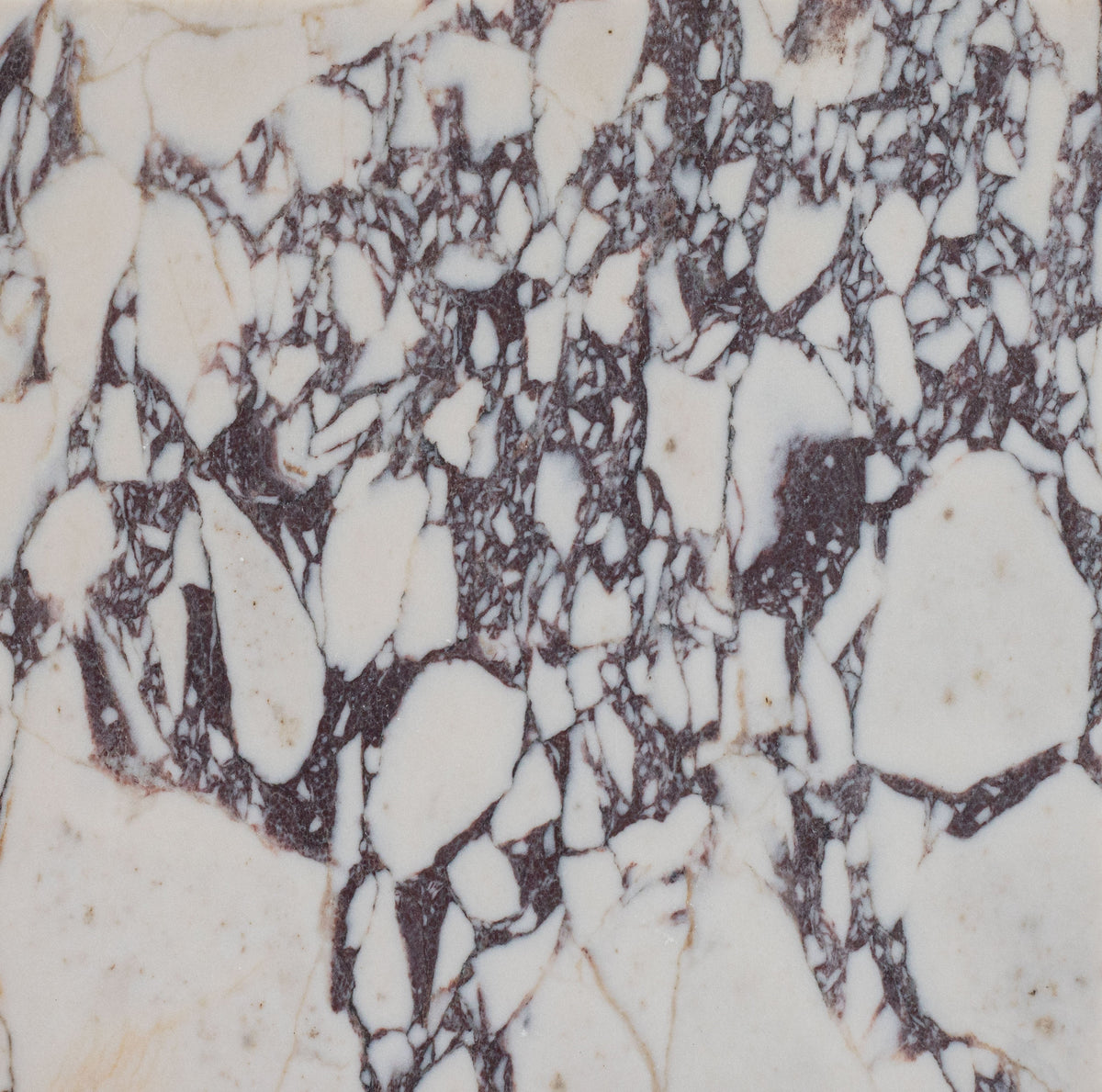 Calacatta Viola Honed 30 x 30 x 1 cm Field Tile 