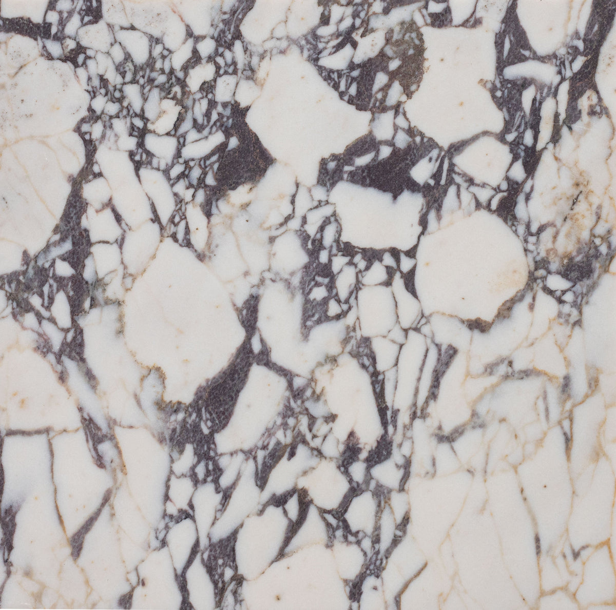 Calacatta Viola Honed 30 x 30 x 1 cm Field Tile 