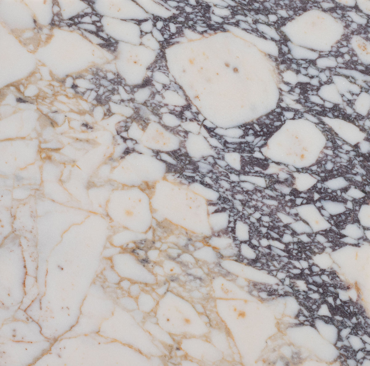 Calacatta Viola Honed 30 x 30 x 1 cm Field Tile 
