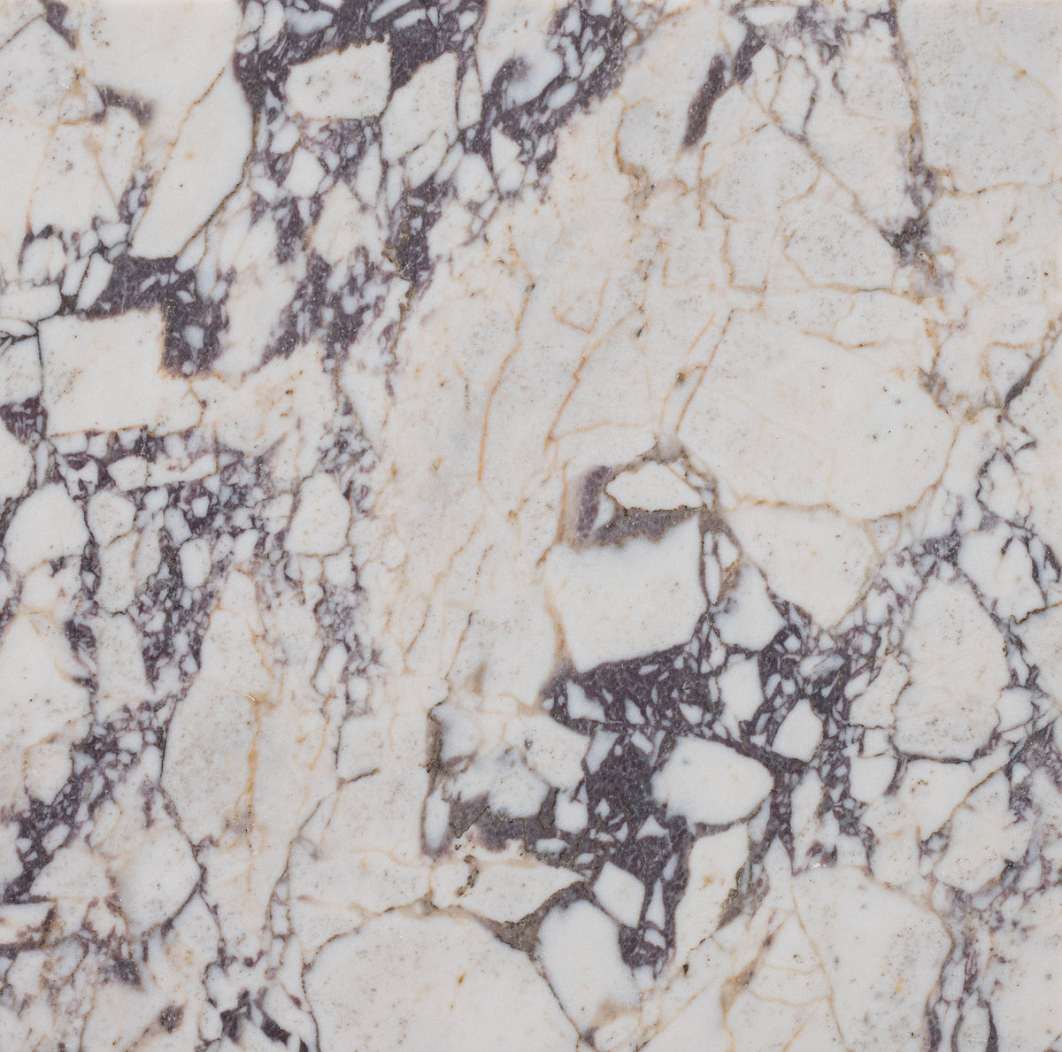 Calacatta Viola Honed 30 x 30 x 1 cm Field Tile 