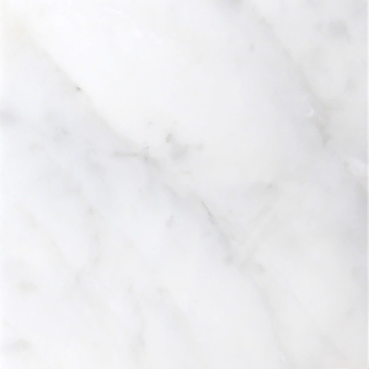 Calacatta Vida Honed 45 x 45 x 1 cm Field Tile 