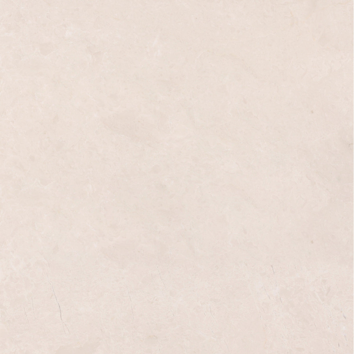 Crema Ella Polished 45 x 45 x 1.5 cm Field Tile 
