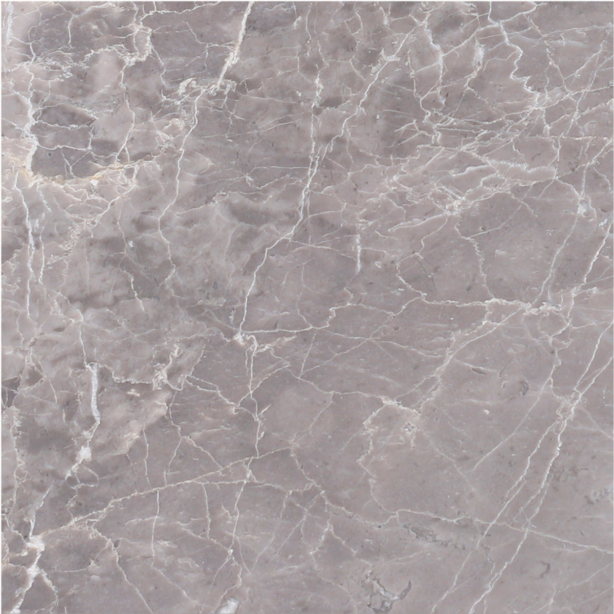 Earth Grey Honed 30 x 30 x 1 cm Field Tile 