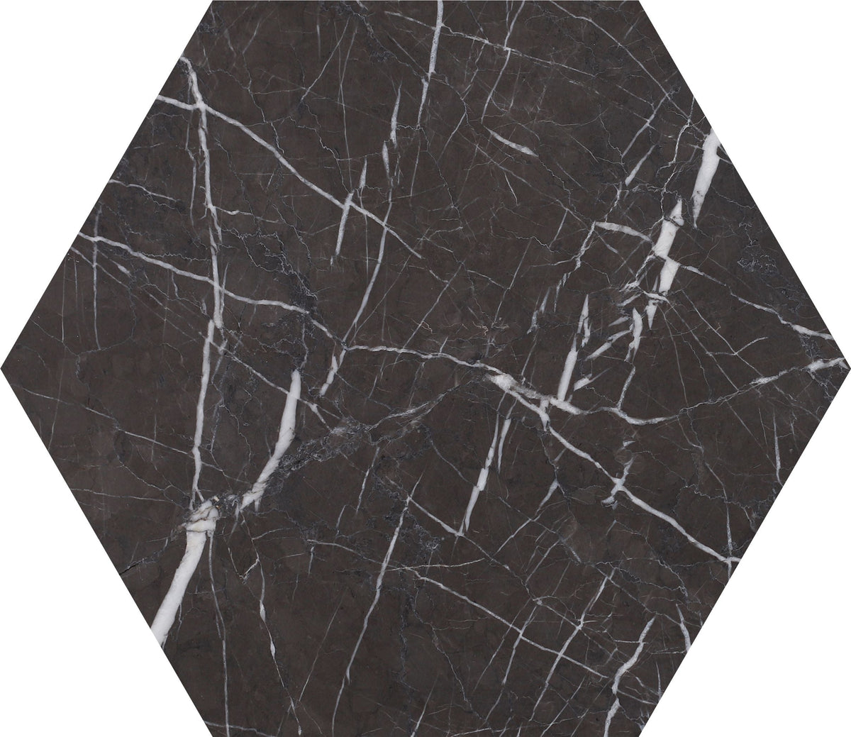 Mount Grey Plain Polished Hexagon 25 x 1 cm Field Tile 