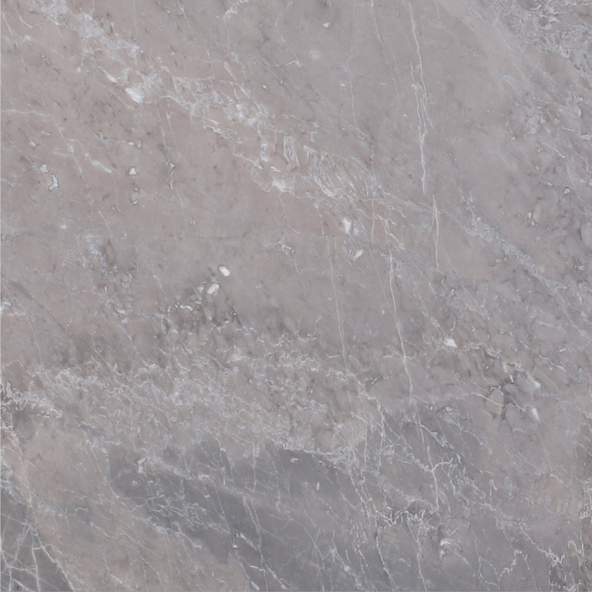 Earth Grey Honed 30 x 30 x 1 cm Field Tile 