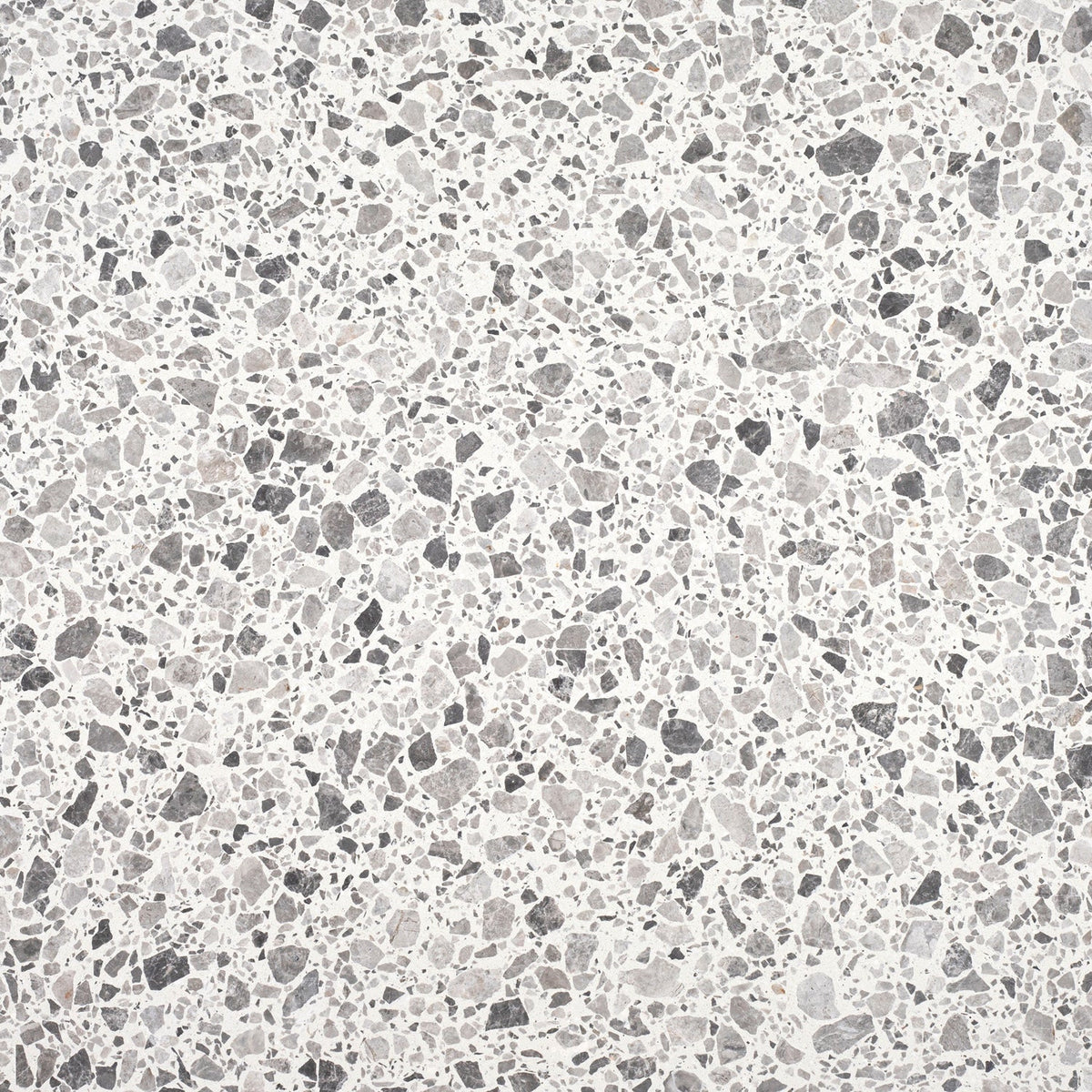 Tundra Grey Honed 60 x 60 x 1.25 cm Terrazzo Field Tile #24 