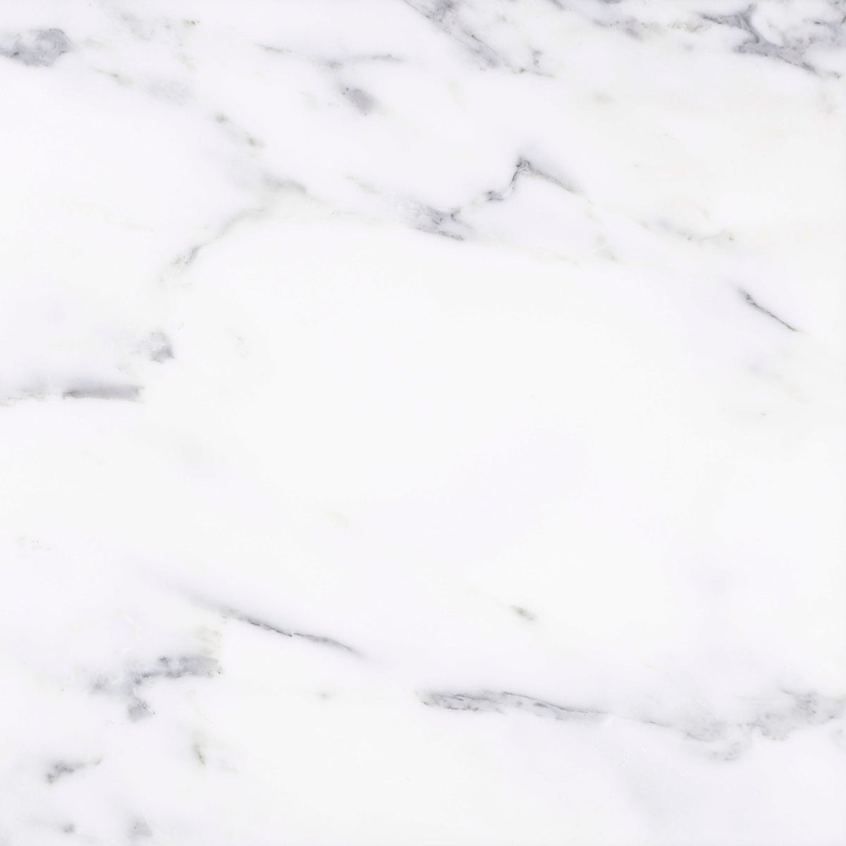 Statuario Honed 30 x 30 x 1 cm Field Tile 