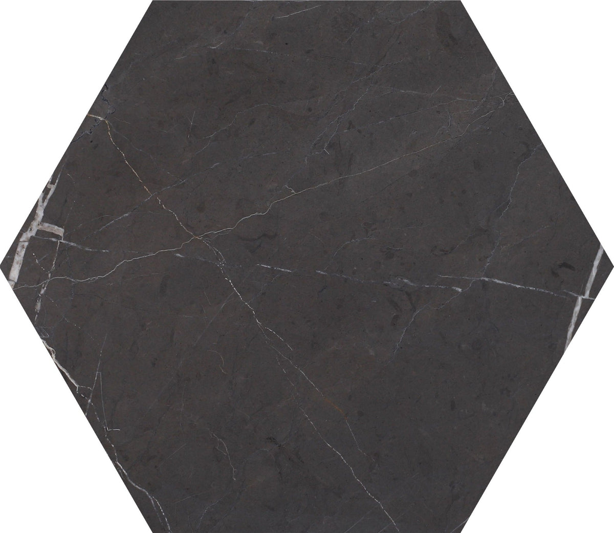 Mount Grey Plain Honed Hexagon 25 x 1 cm Field Tile 